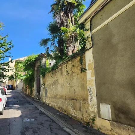 Le Savana - Centre Historique